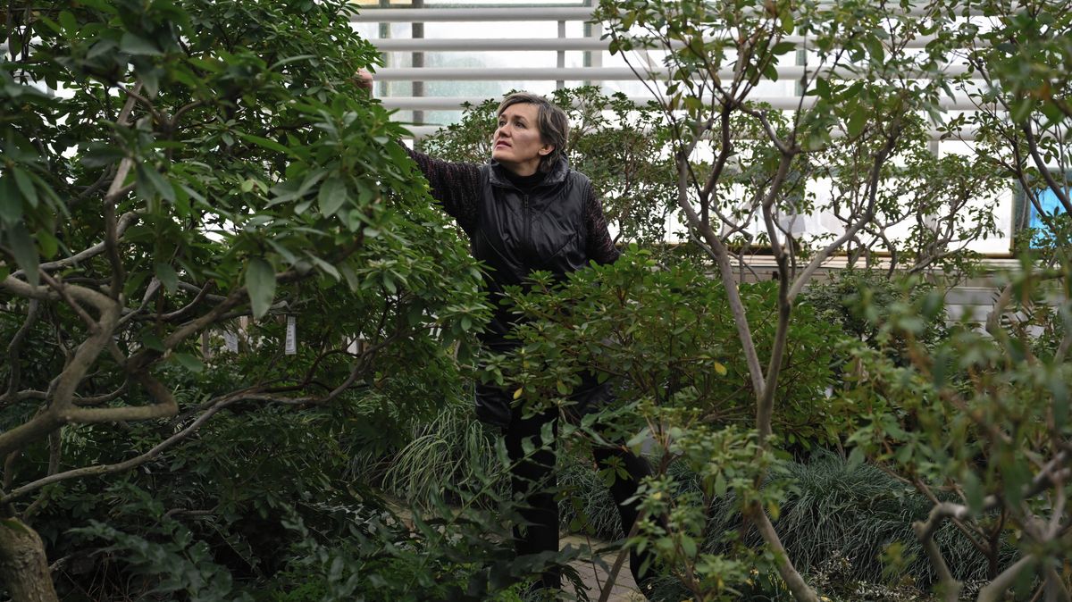 Fotky: Tisíce vzácných druhů v ohrožení. Mráz ničí kyjevskou zahradu